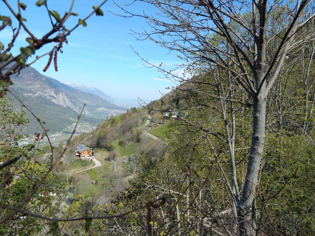 L Ame Et Son Du Coeur Villa Dorenaz Eksteriør bilde