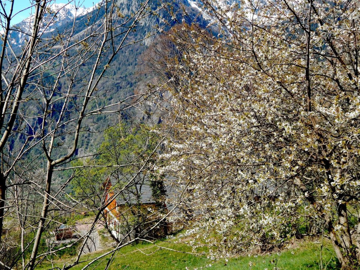 L Ame Et Son Du Coeur Villa Dorenaz Eksteriør bilde