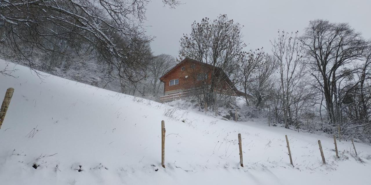 L Ame Et Son Du Coeur Villa Dorenaz Eksteriør bilde